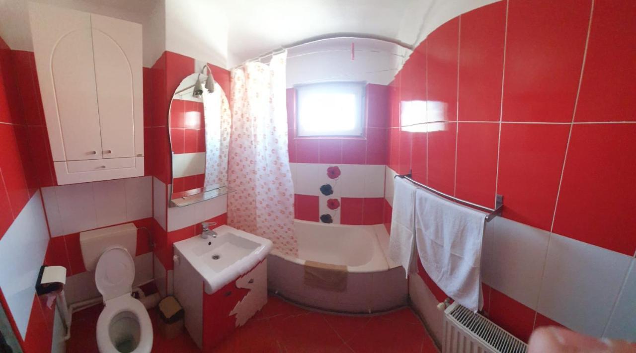 קונסטנצה Blue Sky Apartament מראה חיצוני תמונה